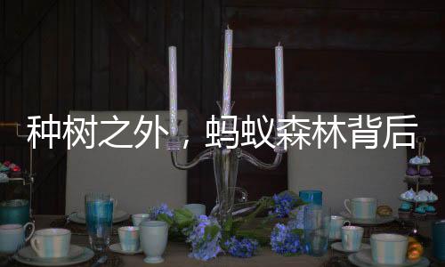 种树之外,蚂蚁森林背后的碳交易市场