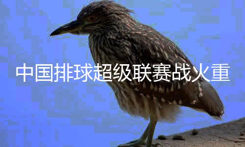 中国排球超级联赛战火重燃,中国移动5G+超高清邀您共享精彩