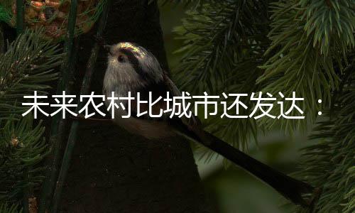 未来农村比城市还发达:“光伏+”模式发展迅猛!