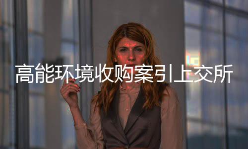 高能环境收购案引上交所问询:标的公司业绩下滑,何以要买?